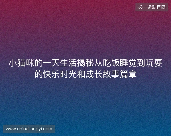 小猫咪的一天生活揭秘从吃饭睡觉到玩耍的快乐时光和成长故事篇章 小猫咪的一天生活揭秘从吃饭睡觉到玩耍的快乐时光和成长故事篇章