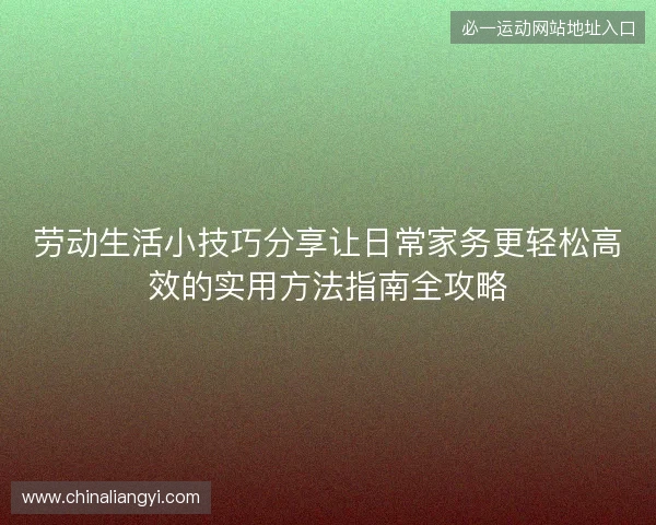 劳动生活小技巧分享让日常家务更轻松高效的实用方法指南全攻略 劳动生活小技巧分享让日常家务更轻松高效的实用方法指南全攻略